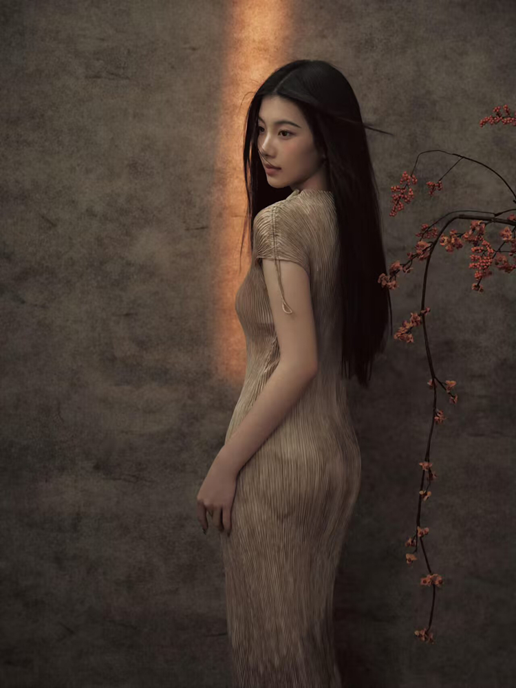 Novo 2026 Estilo Chinês Fotogr - Photography Vintage Style avaliação e preço